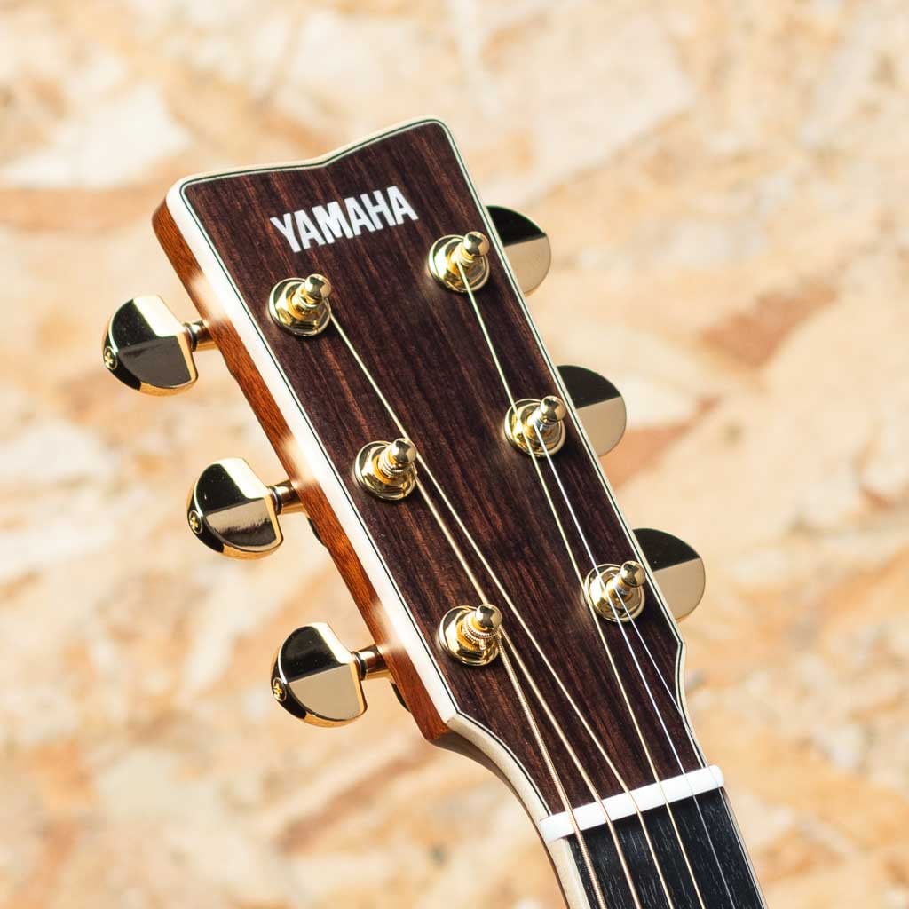 LL36 ARE: アコースティックギター｜三木楽器公式通販サイト