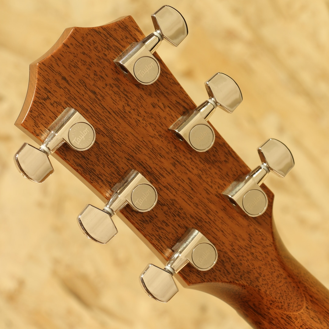 514ce LTD 2022: アコースティックギター｜三木楽器公式通販サイト