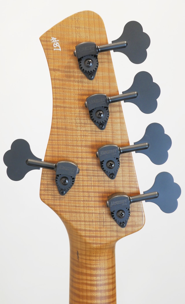 Custom Bass 5strings Spalted Flame Maple: ベース｜三木楽器公式通販