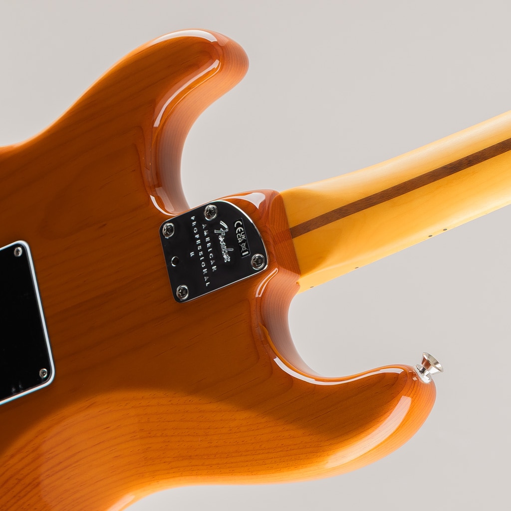American Professional II Stratocaster/Roasted Pine/M【S/N