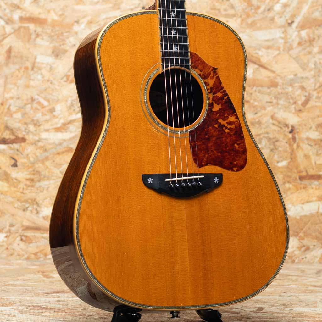 TJ-100 Custom Honduras Rosewood 1998: アコースティックギター｜三木