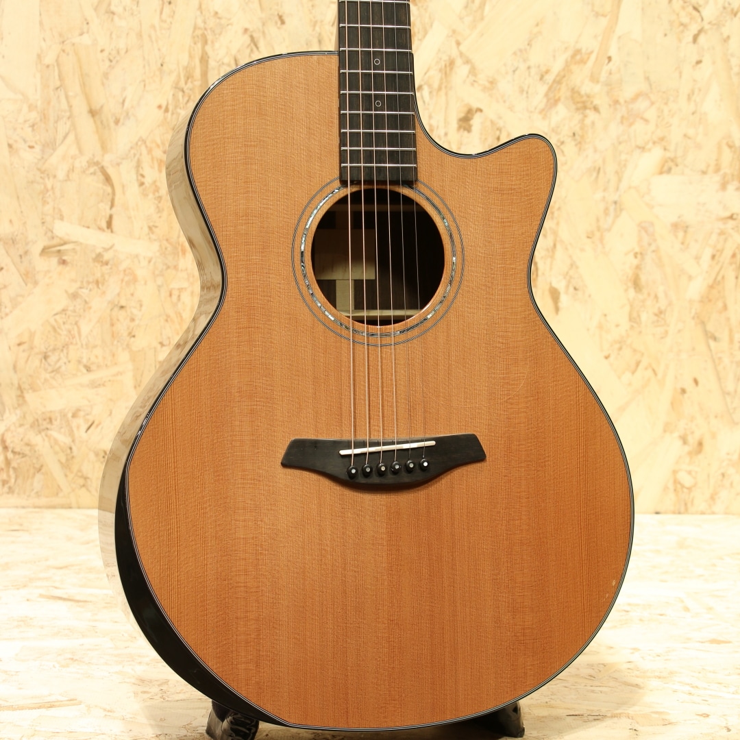 アコースティックギター輸入ブランド | 三木楽器公式通販サイト(並び順