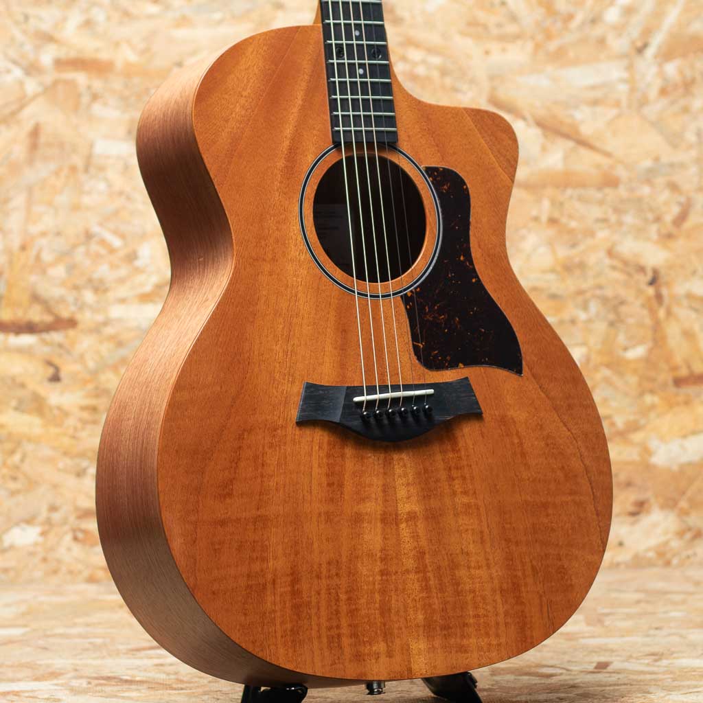 TAYLOR（テイラー）Acoustic guitar 一覧 | 三木楽器公式通販サイト