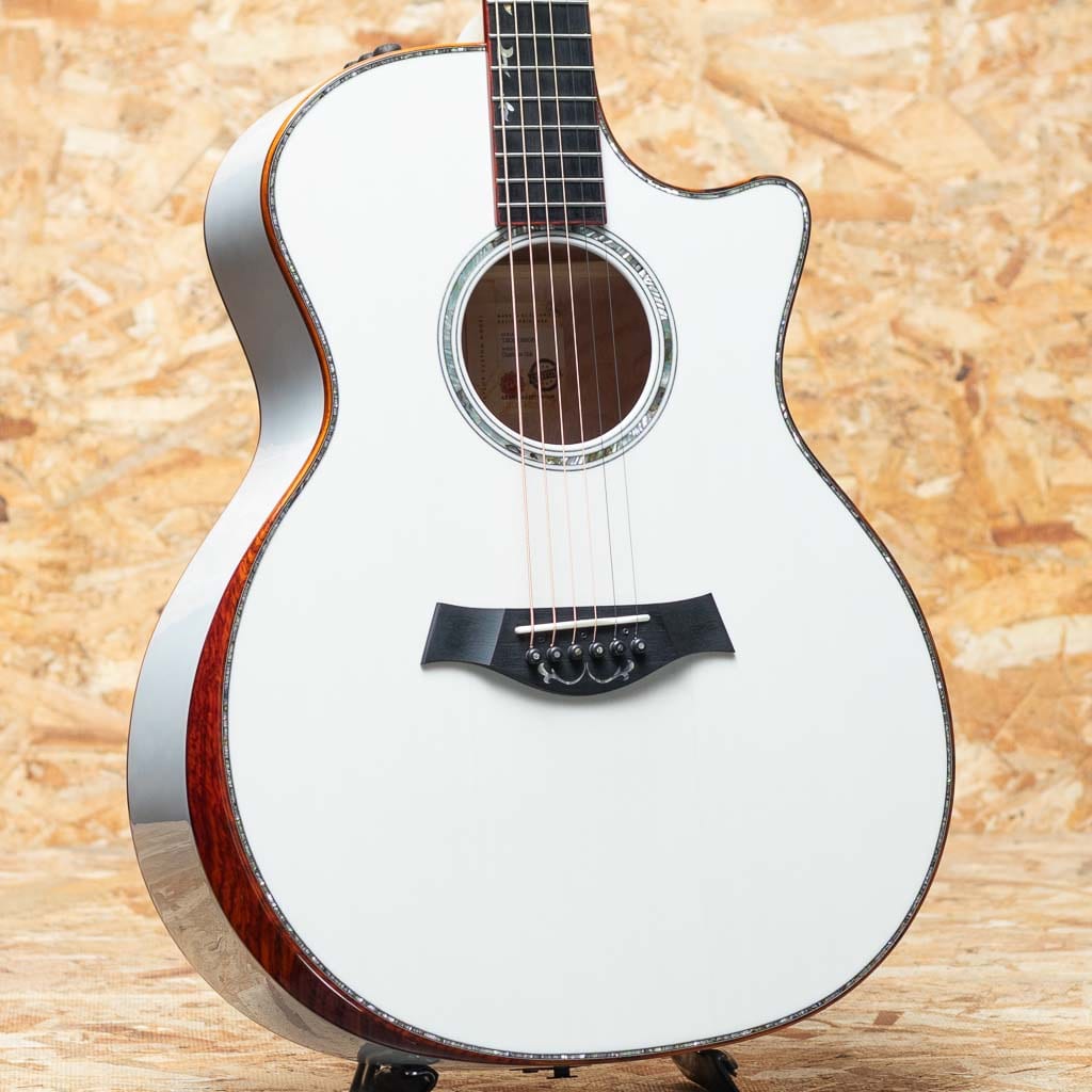 TAYLOR（テイラー）Acoustic guitar Custom Models一覧 | 三木楽器公式