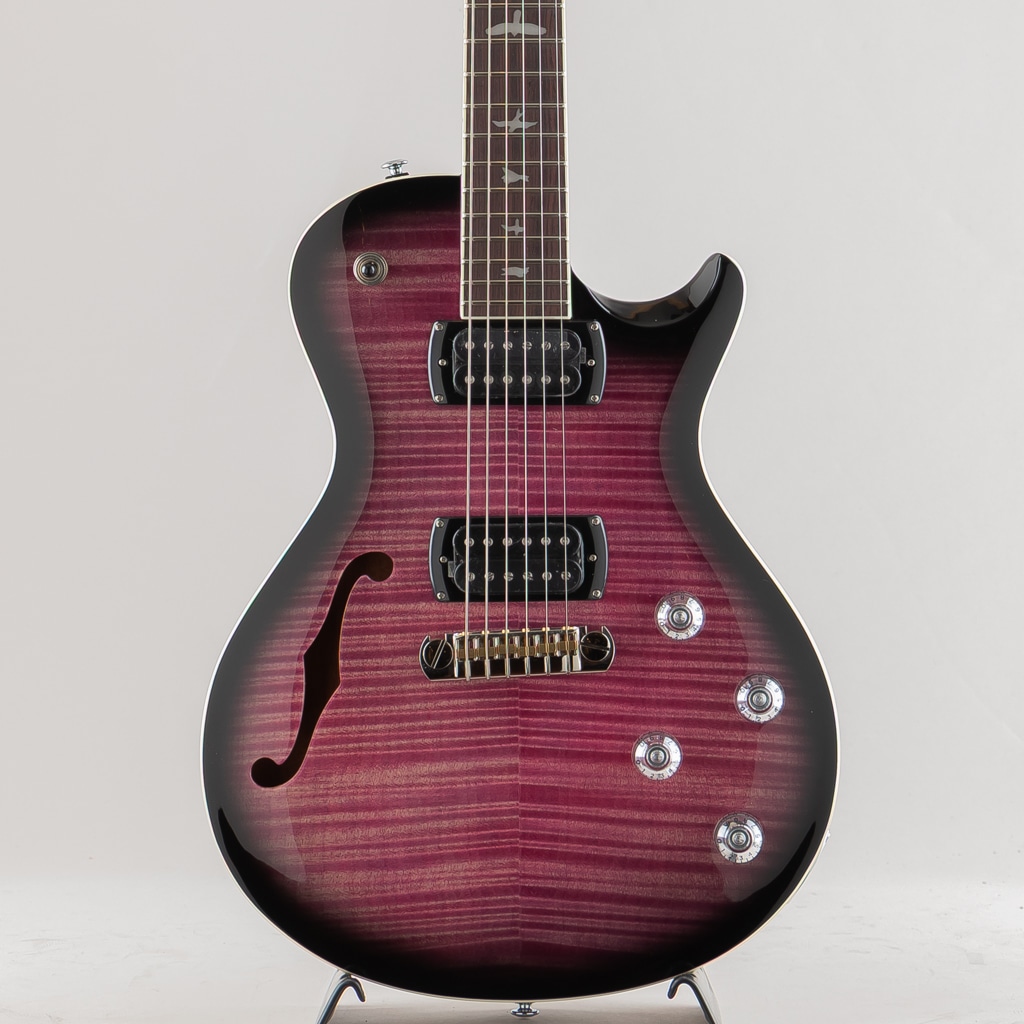 PRS （ポールリードスミス）SEシリーズ エレキギター一覧 | 三木楽器