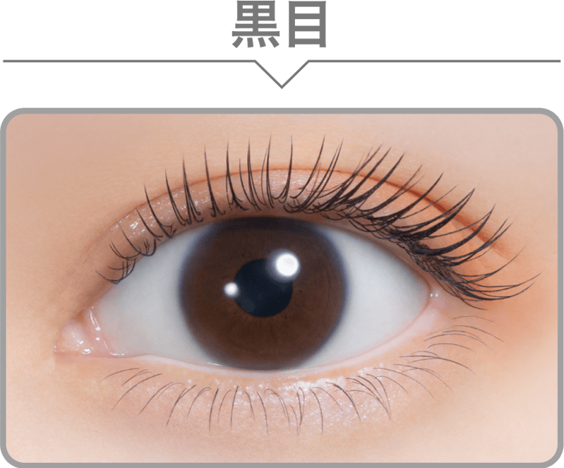 Gem Grege（ジェムグレージュ）ワンデーレンズ | 【公式】nanakoななこ