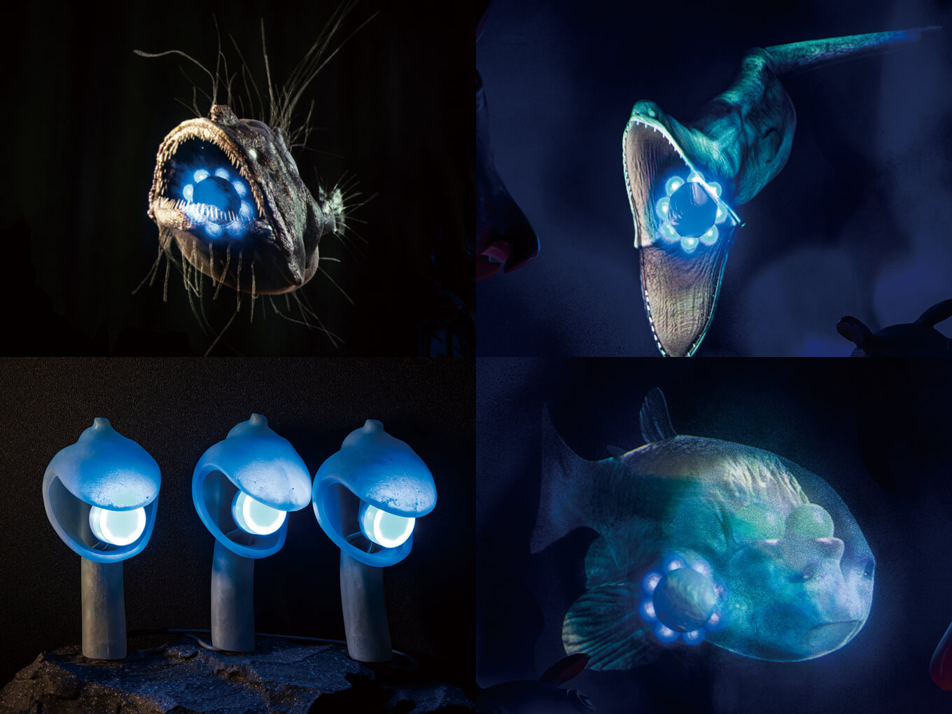 THE DEEP SEA WORLD 深海王国