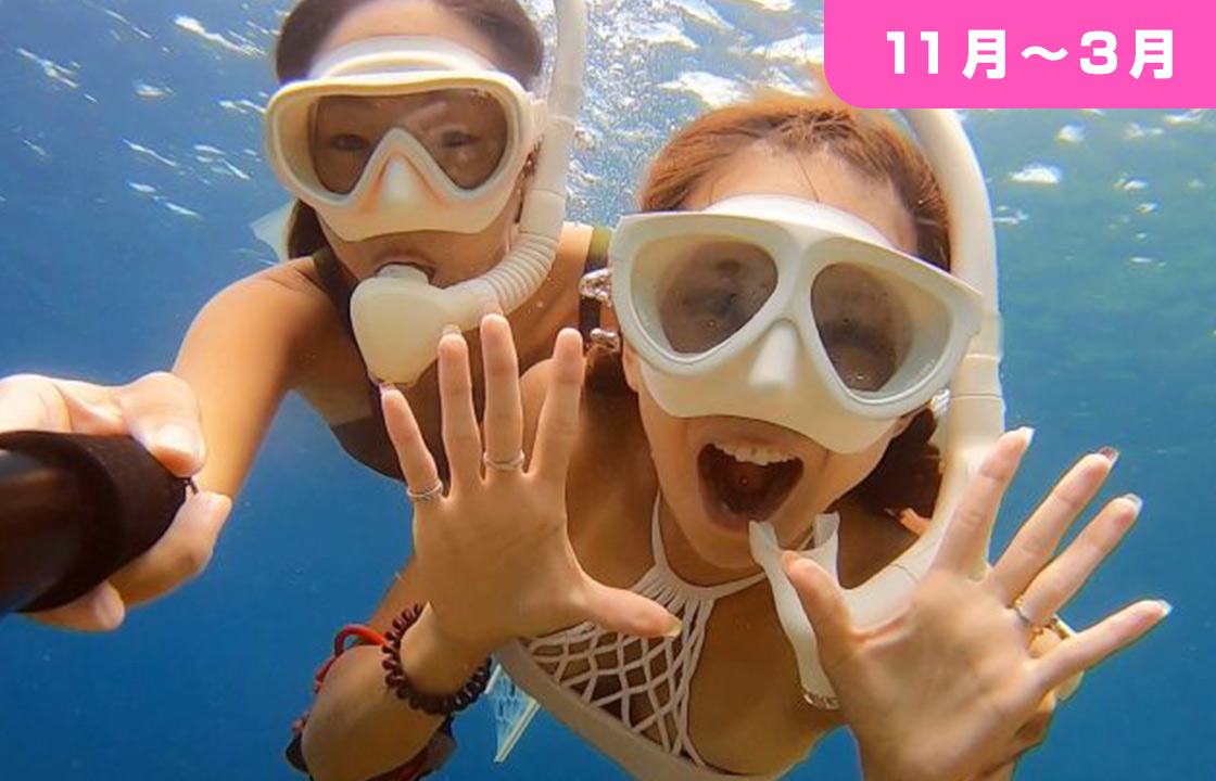 メニュー・プラン | マリンショップ マーメイド（沖縄・水納島・パラセ