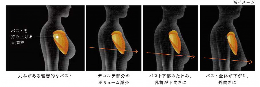 SIXPAD』から胸部を効率的に鍛える「SIXPAD Chest Fit」新発売 | MTG
