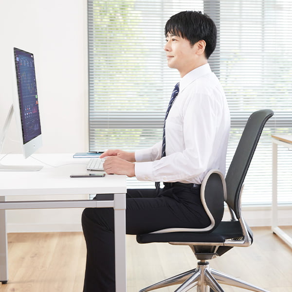 ソファー 骨盤 テレワーク】スタイル ドクターチェア | Style Dr.CHAIR