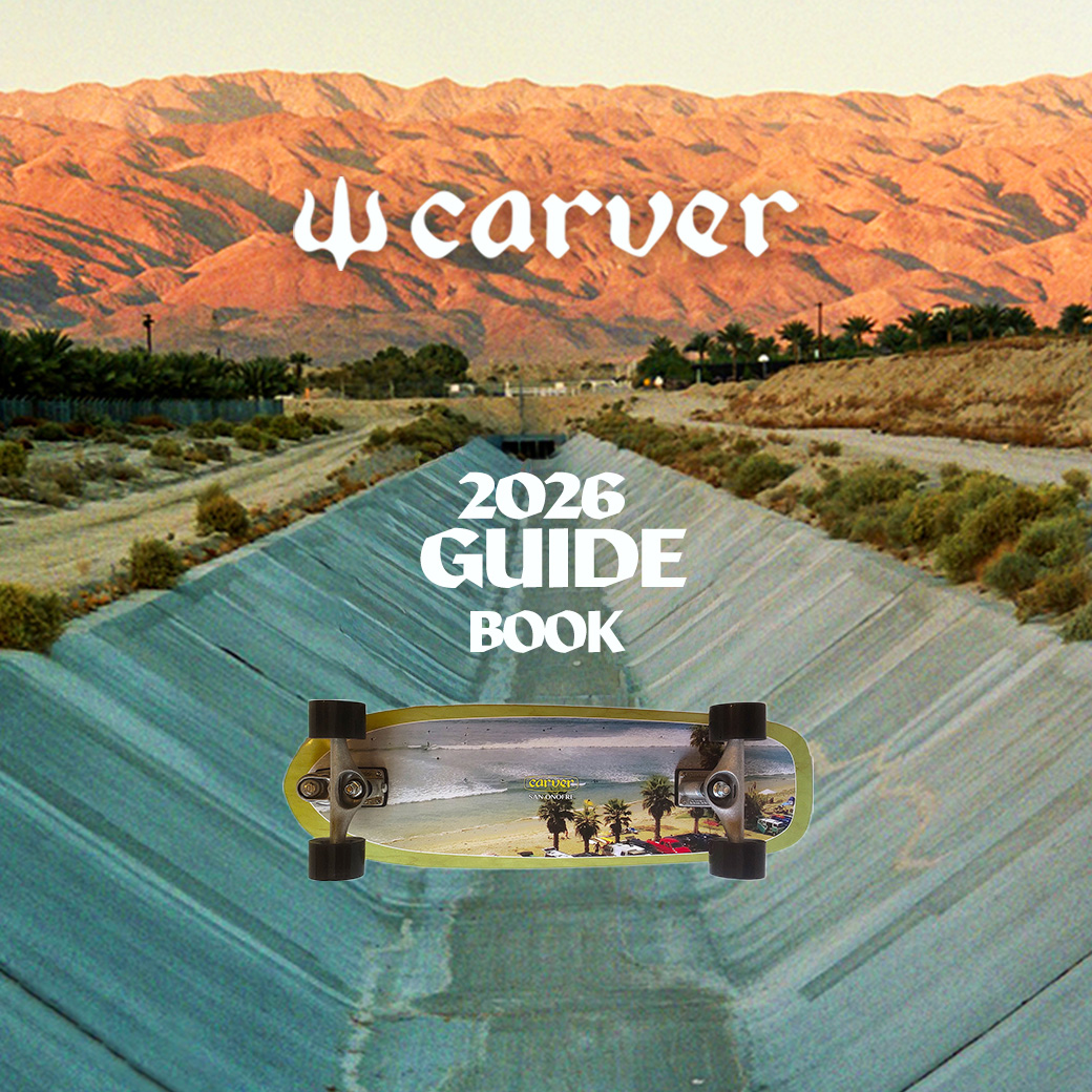 日本限定モデル CARVER カーバー ロング スケートボード LANDスケート