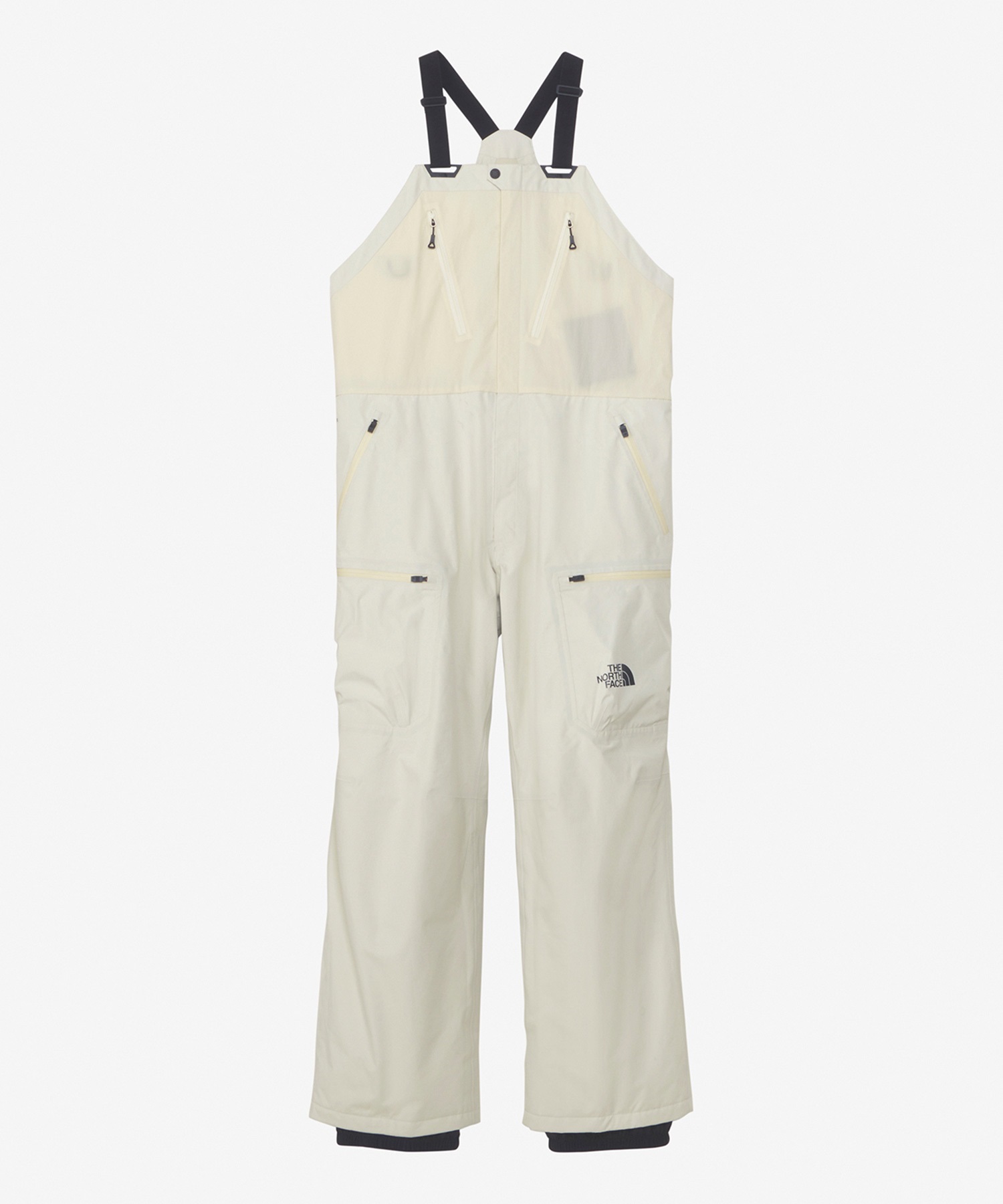 THE NORTH FACE ノースフェイス GORE-TEX LAYBACK RIDE BIB