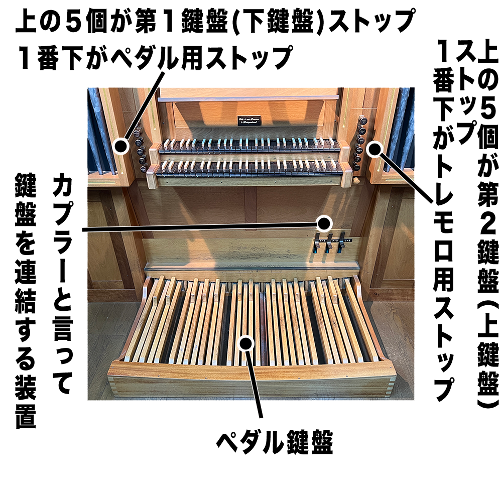 パイプオルガン | 塚本音楽学院