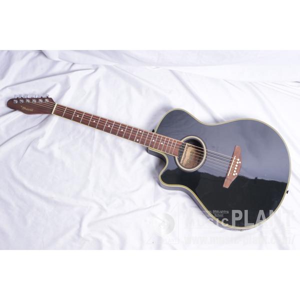 Godin Steelシリーズ エレクトリックアコースティックギターMultiAc