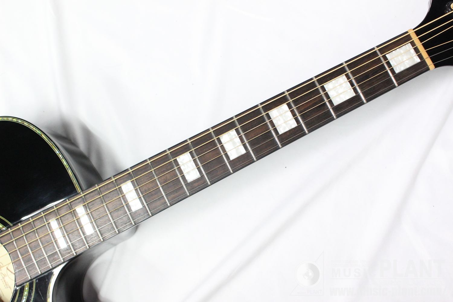 Greg Bennett エレアコTMJ-17CE Black中古品在庫あります! | MUSIC