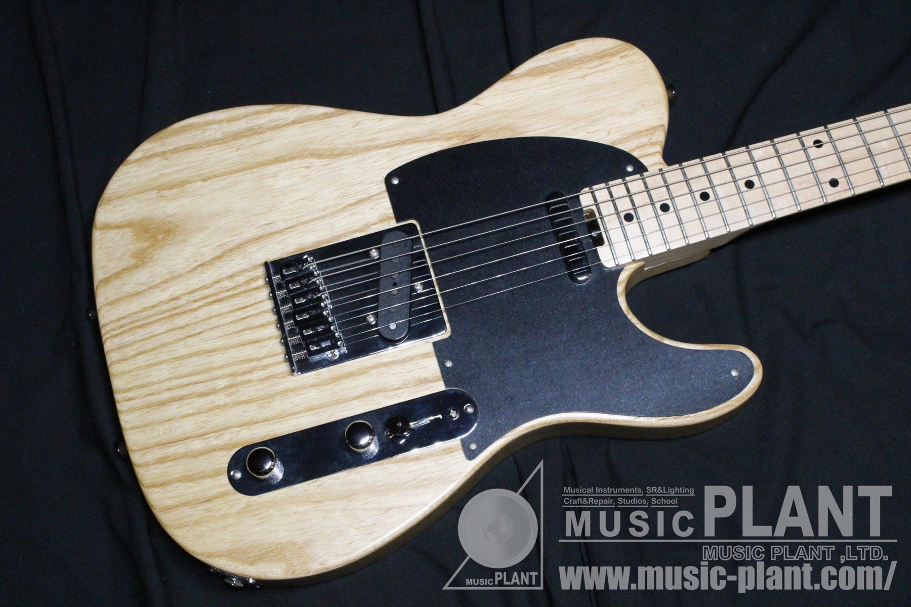 SCHECTER Progaugeシリーズ テレキャスタータイプPS-S-PT/M/VT新品