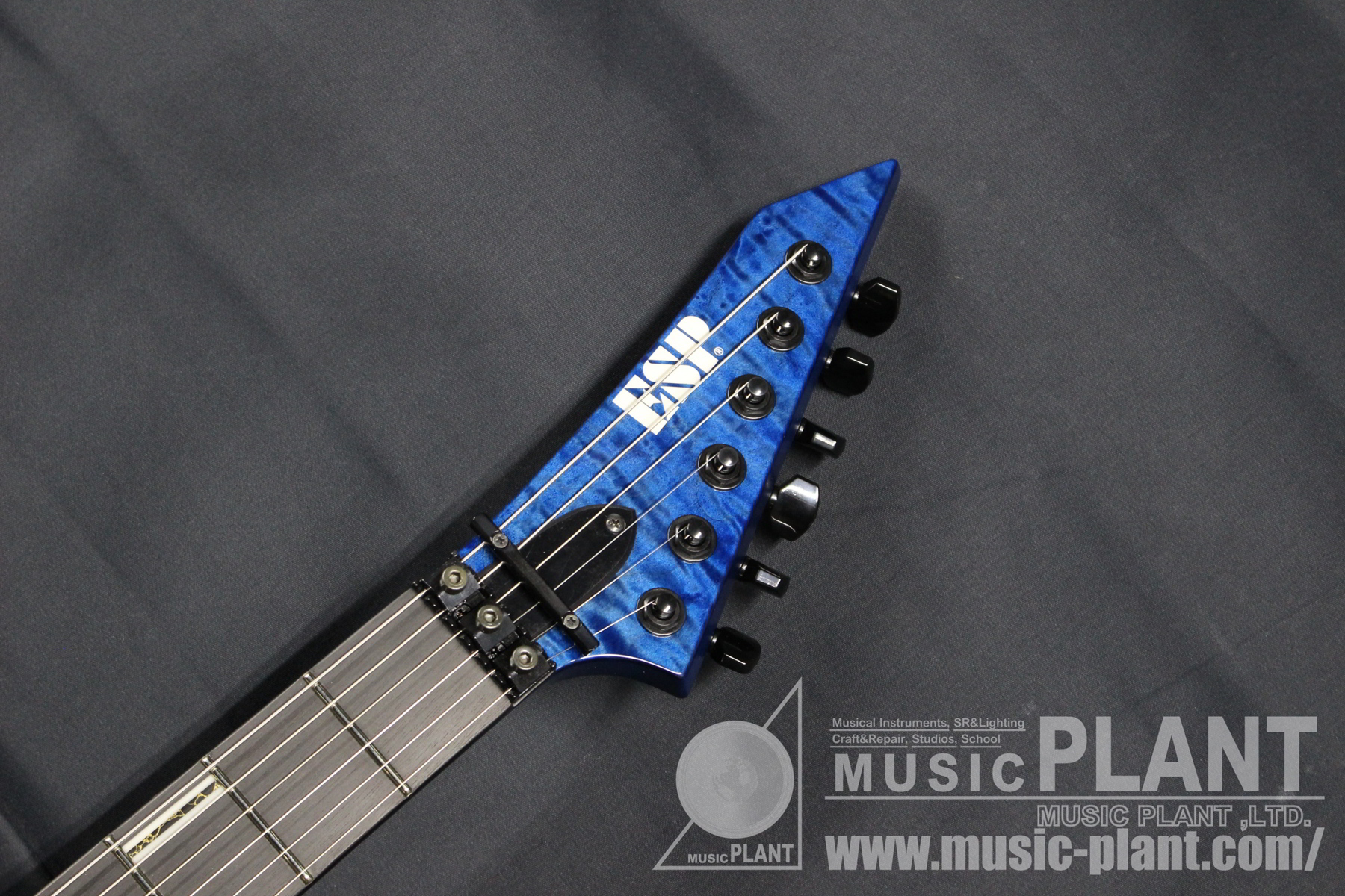 ESP ESP×BanG Dream! コラボレーションシリーズ エレキギターM-II