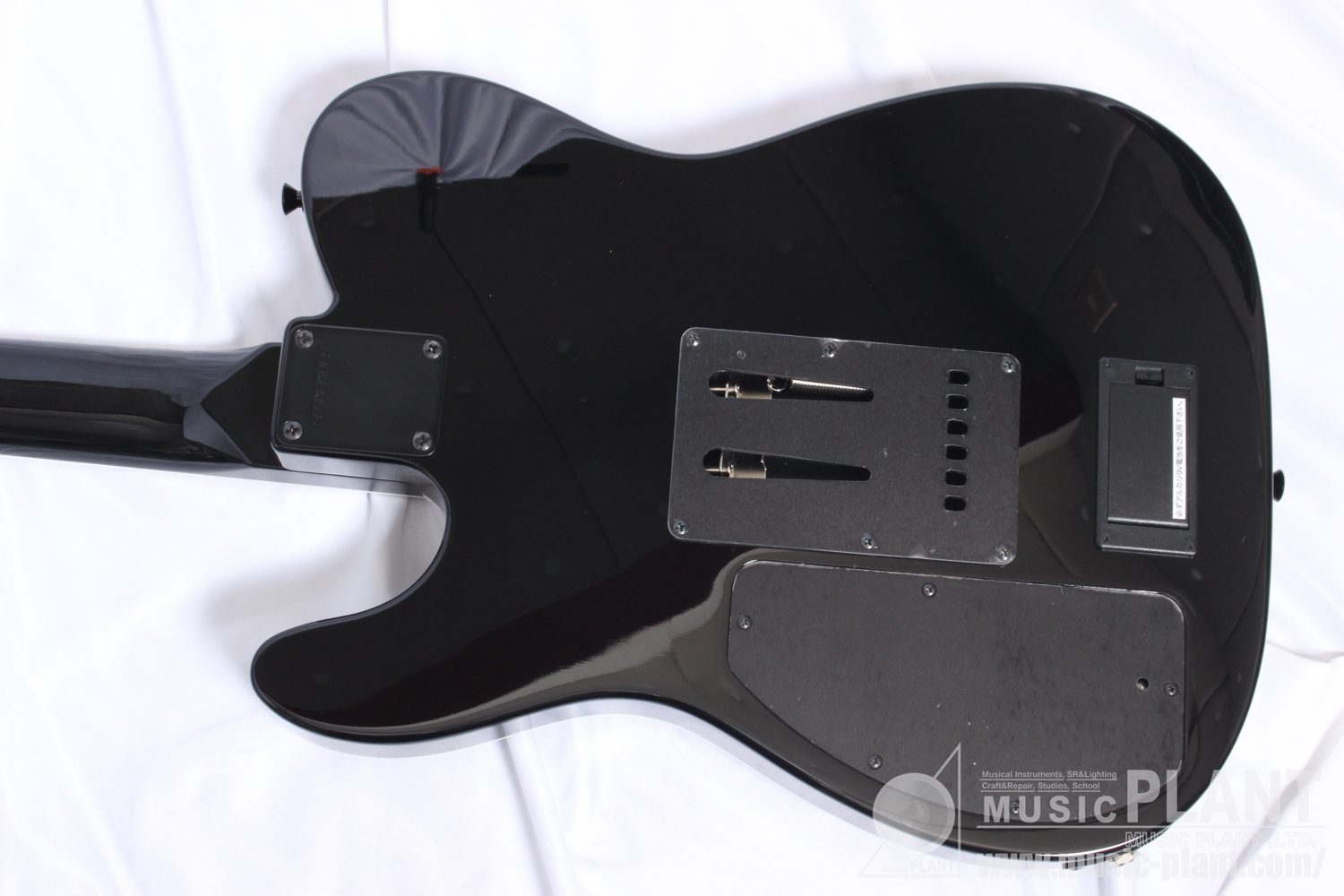 FERNANDES TEJシリーズ エレキギターTEJ-DELUXE SUS新品 | MUSIC PLANT