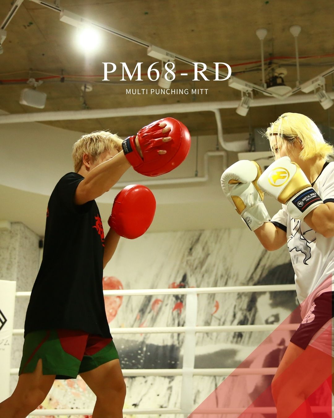 マルチパンチングミット - マーシャルワールドジャパン