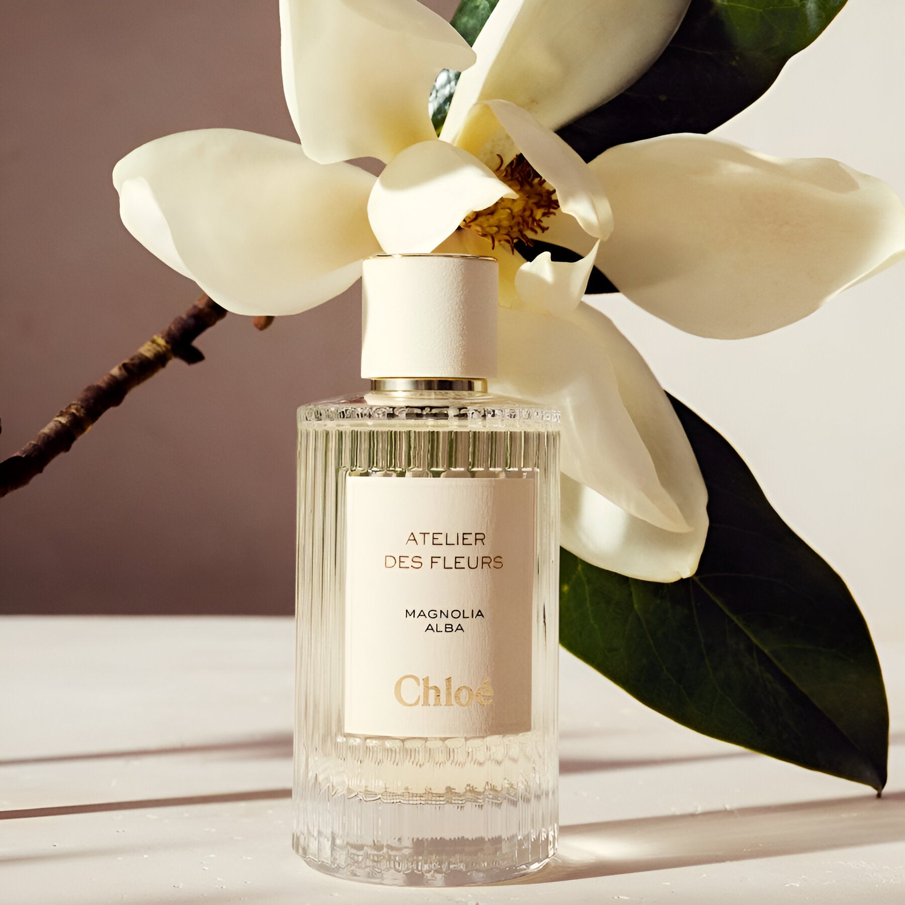 Shop Chloe Atelier Des Fleurs Magnolia Alba EDP in Australia