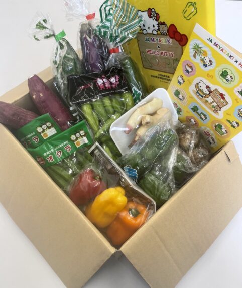 数量・期間限定】「みやざき夏野菜セット（ハローキティノベルティ付