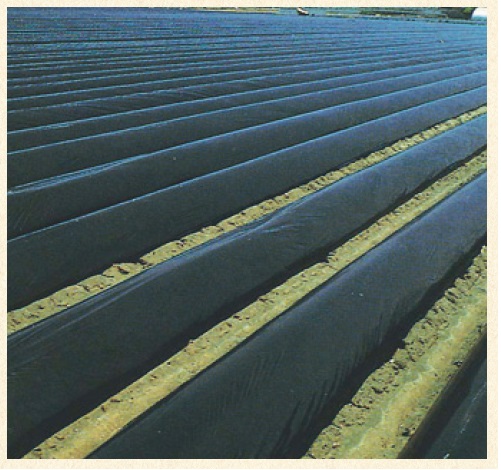 オリジナル国産黒マルチ 厚さ0.03mmX長さ200m(幅95cm 単品): 農業資材