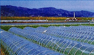 トンネル支柱/支柱・杭/農業資材(並び順：商品名)