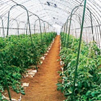 トンネル支柱/支柱・杭/農業資材(並び順：商品名)