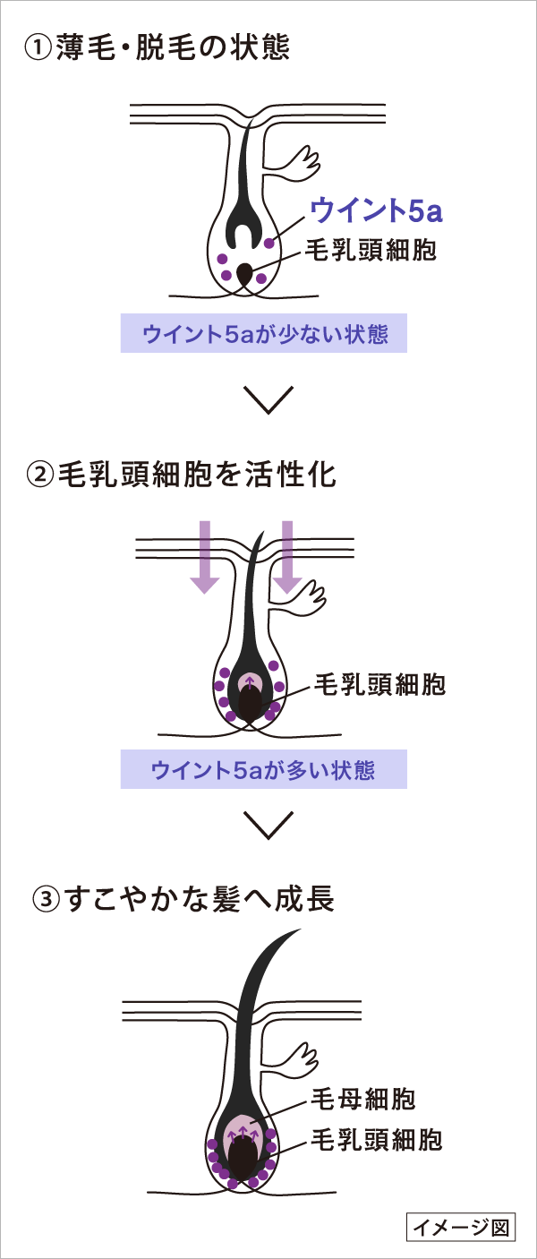 みー ルースパウダーLX ゴーモア薬用シャンプー ✖️2個 みー ルース