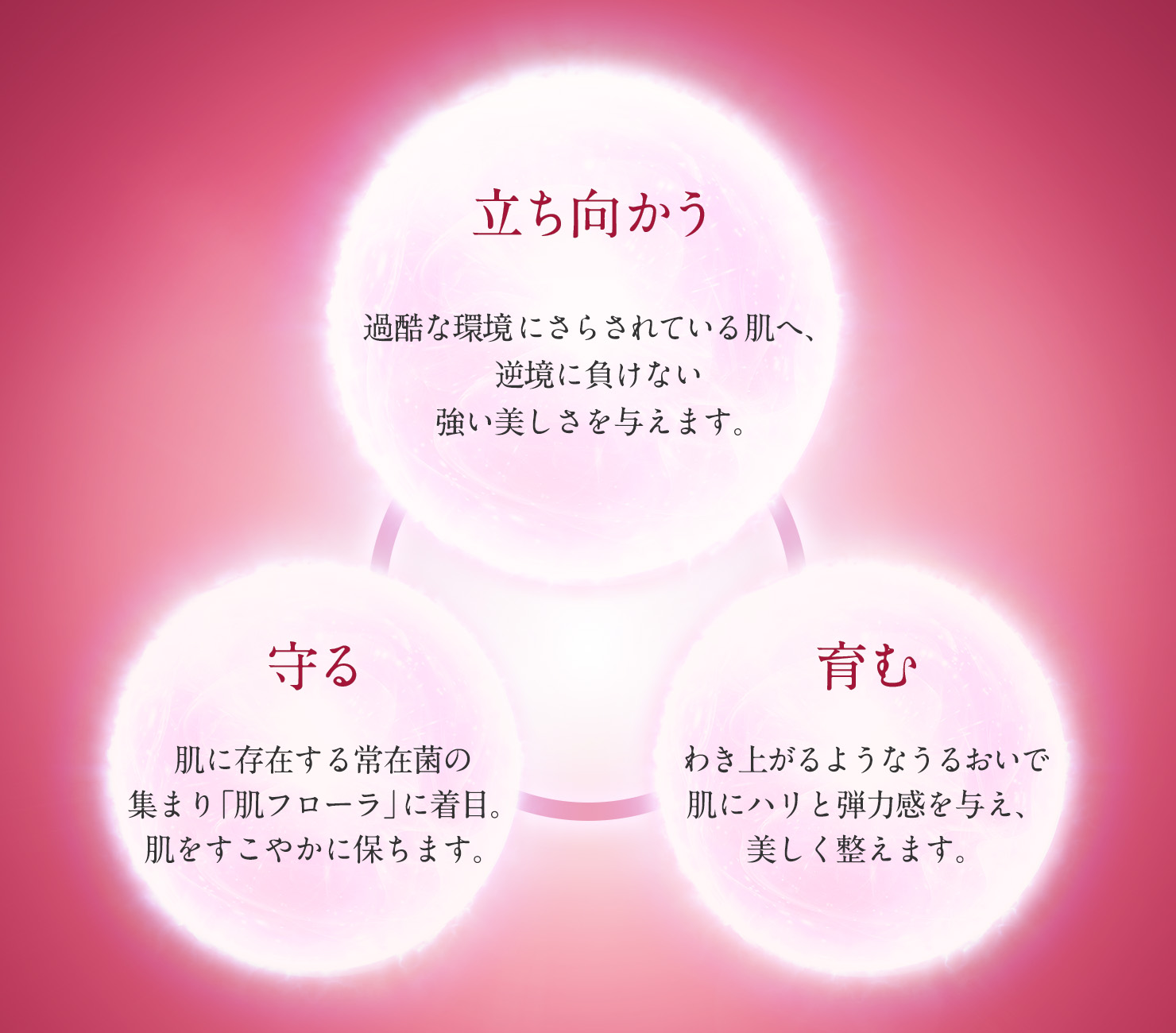 セラミューン｜株式会社ノエビア