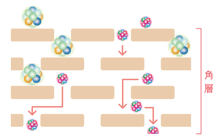 スペチアーレ 薬用デイセラム｜商品情報｜ノエビア スペチアーレ