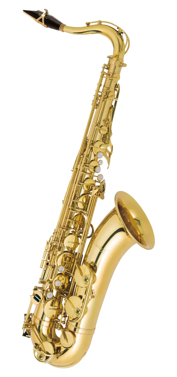 エルドン ｜ Antigua