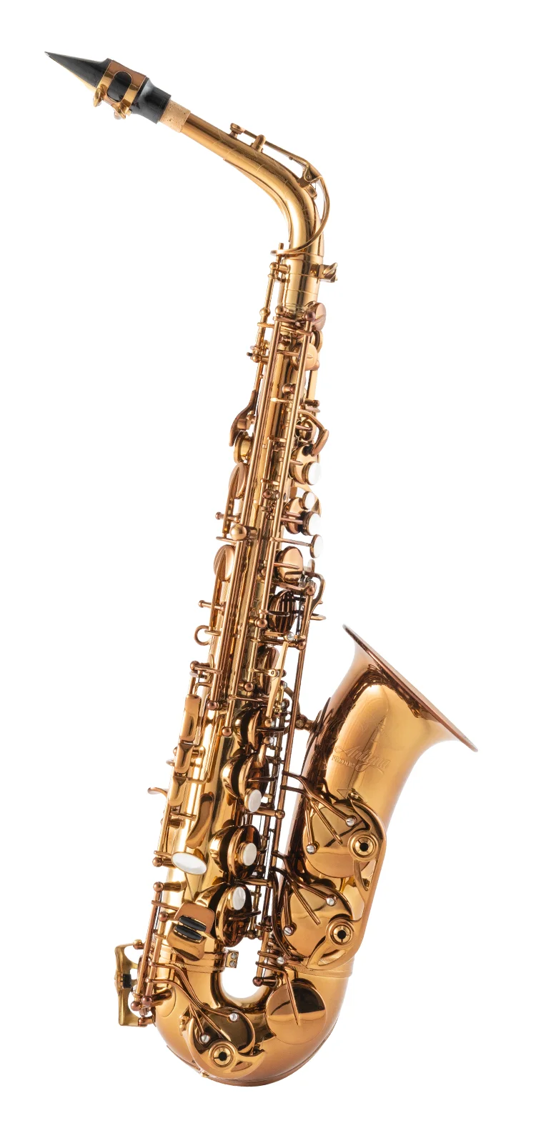 プロワン ｜ Antigua