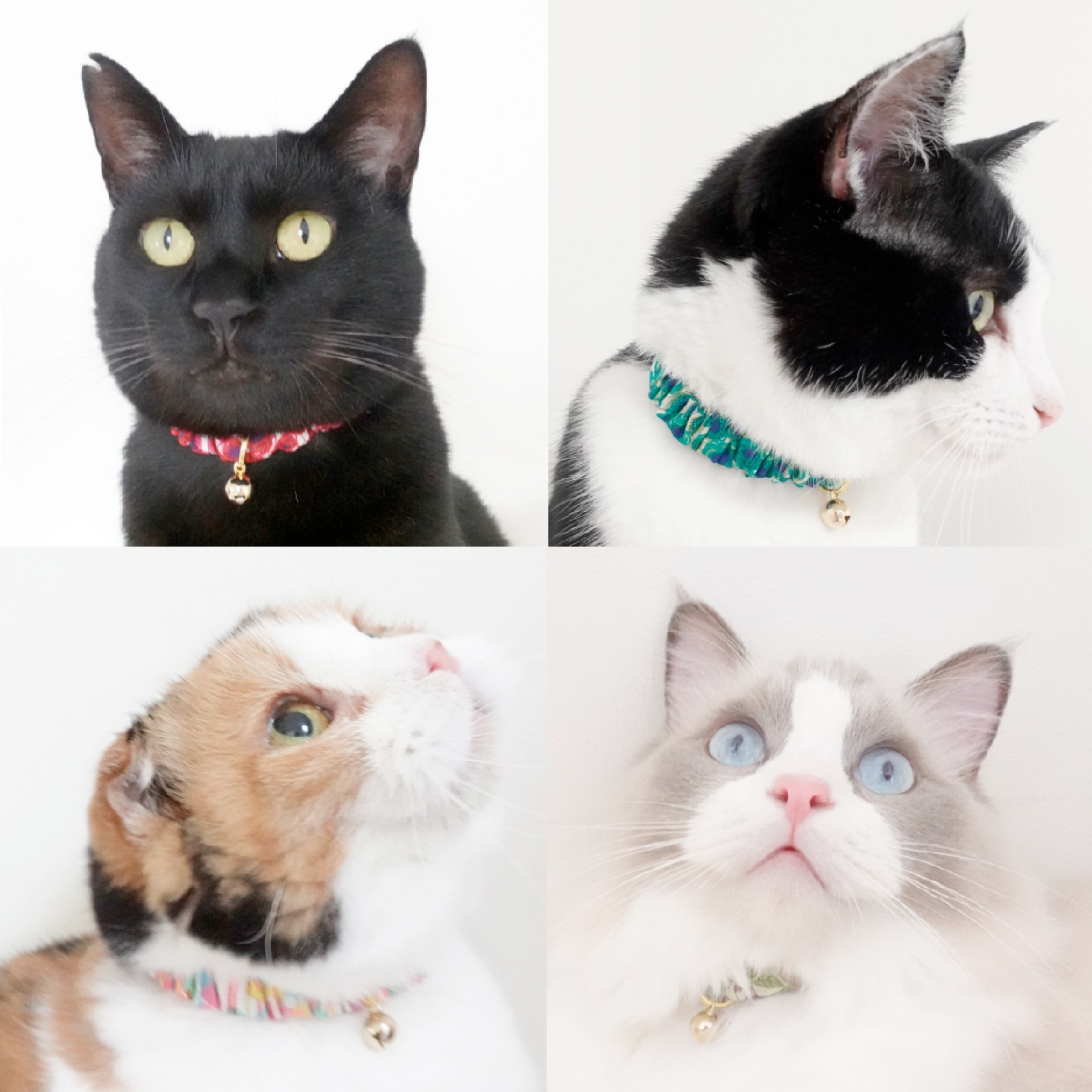 エアリーシュシュ・LIBERTYファブリック・シュシュ猫首輪・猫首輪