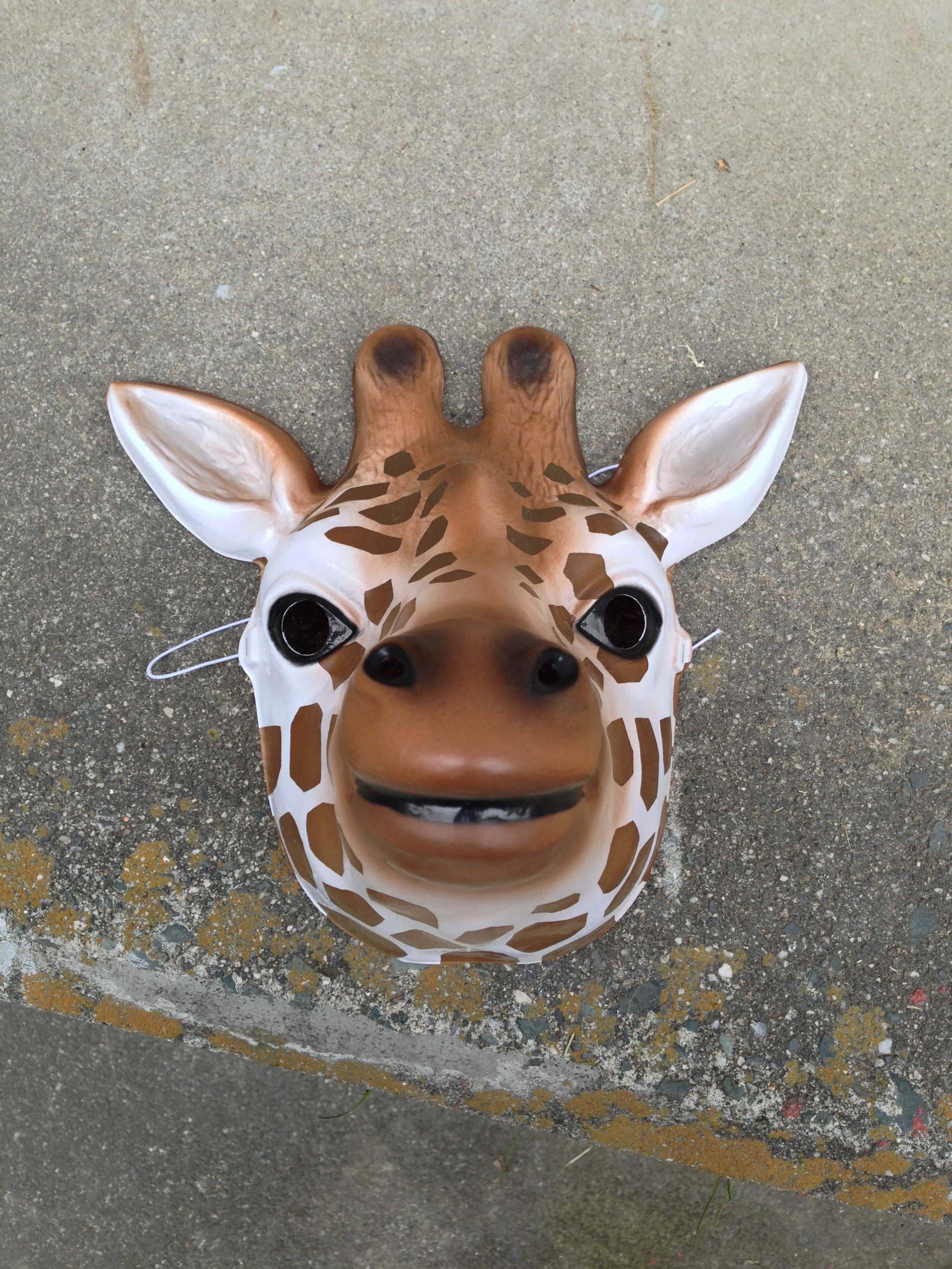 380円（税抜き） – うちのバックヤードのチラ見せ