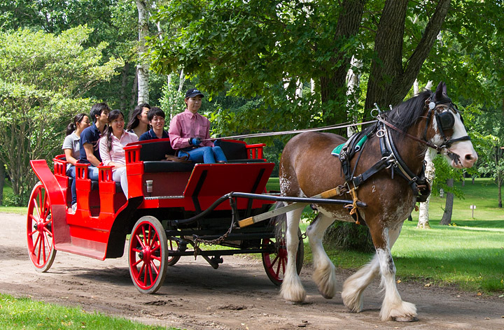 カップルで楽しむ - ノーザンホースパーク公式サイト