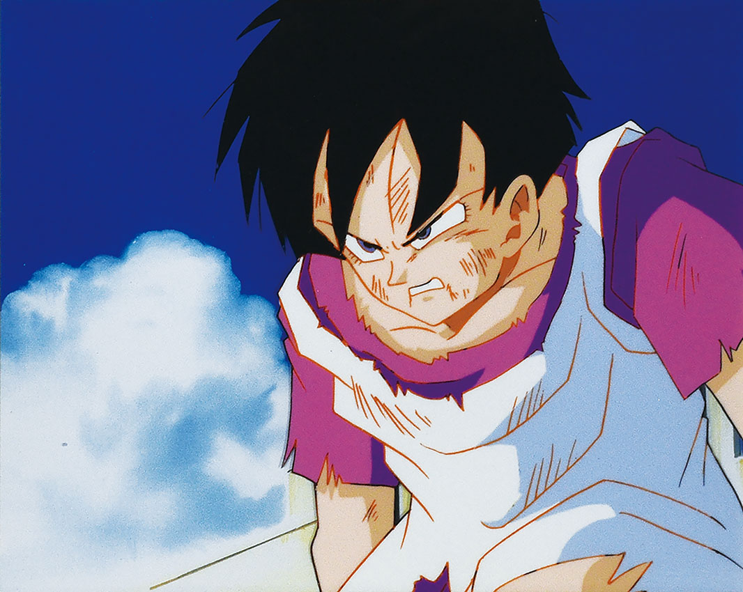 セル画額「ドラゴンボールZ ビーデル」 | Natsume Books