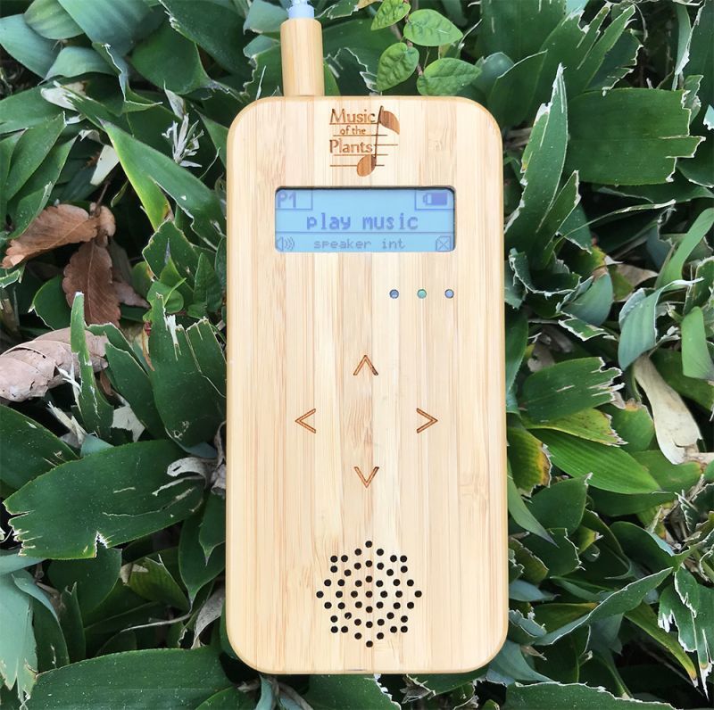 Bambooバンブー・M | ナチュラルスピリット・ショップ