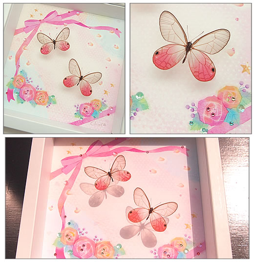 feat.Chica Cute-pink【受注生産品／納期10～20日前後】 , 蝶の標本