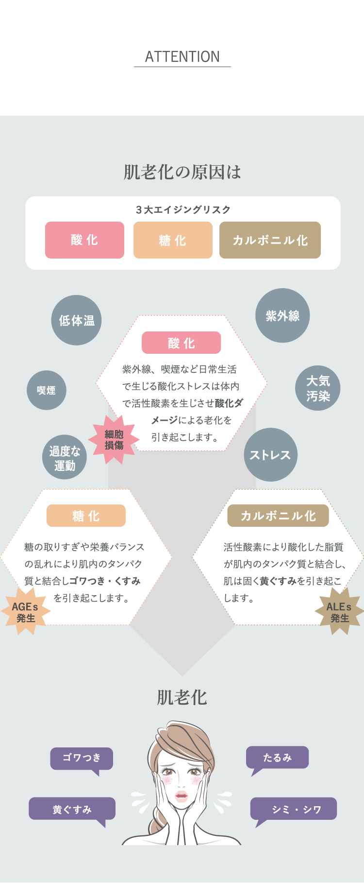 バイオラブ クレム ブリヤンテ N【保護クリーム】: BIOLAB
