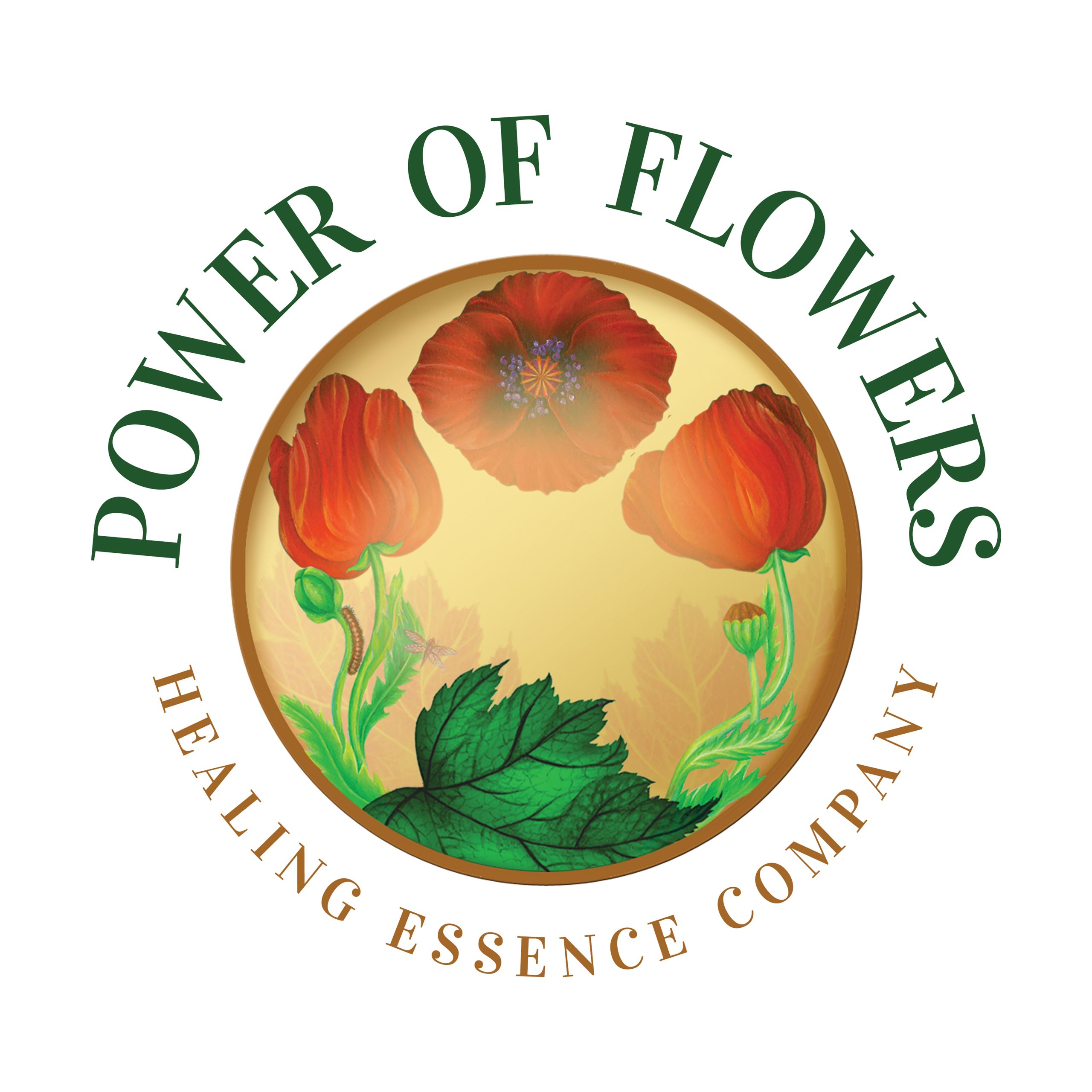 パワー オブ フラワー ヒーリング エッセンス — ネイチャーワールド