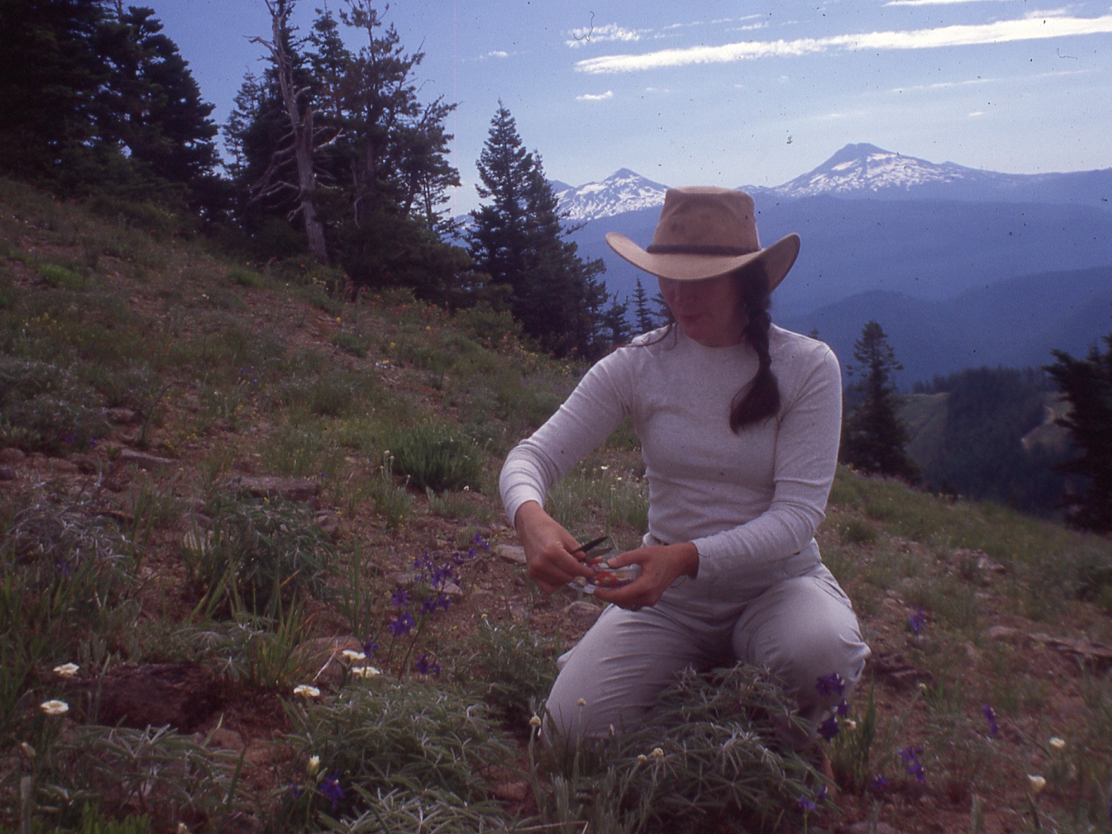 パワー オブ フラワー ヒーリング エッセンス — ネイチャーワールド
