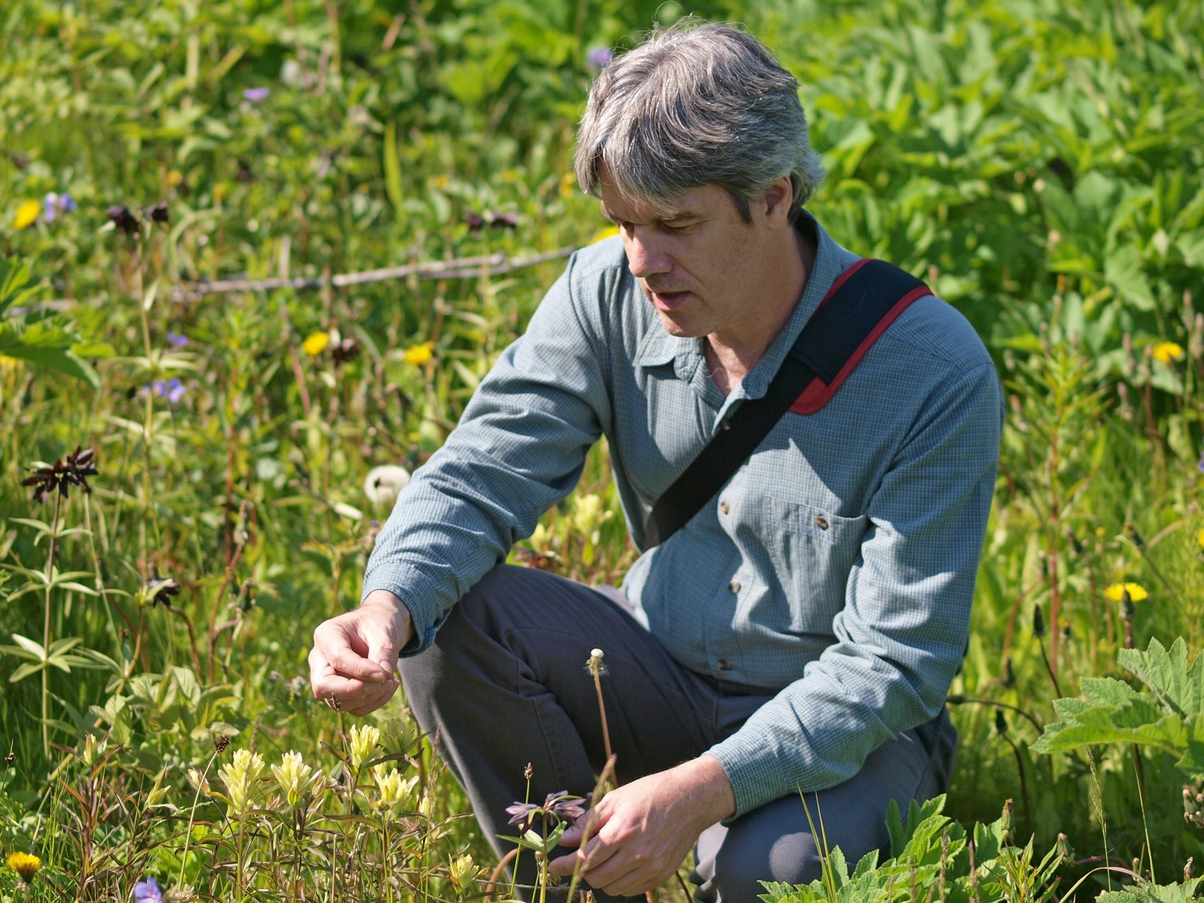 アラスカンエッセンス — ネイチャーワールド