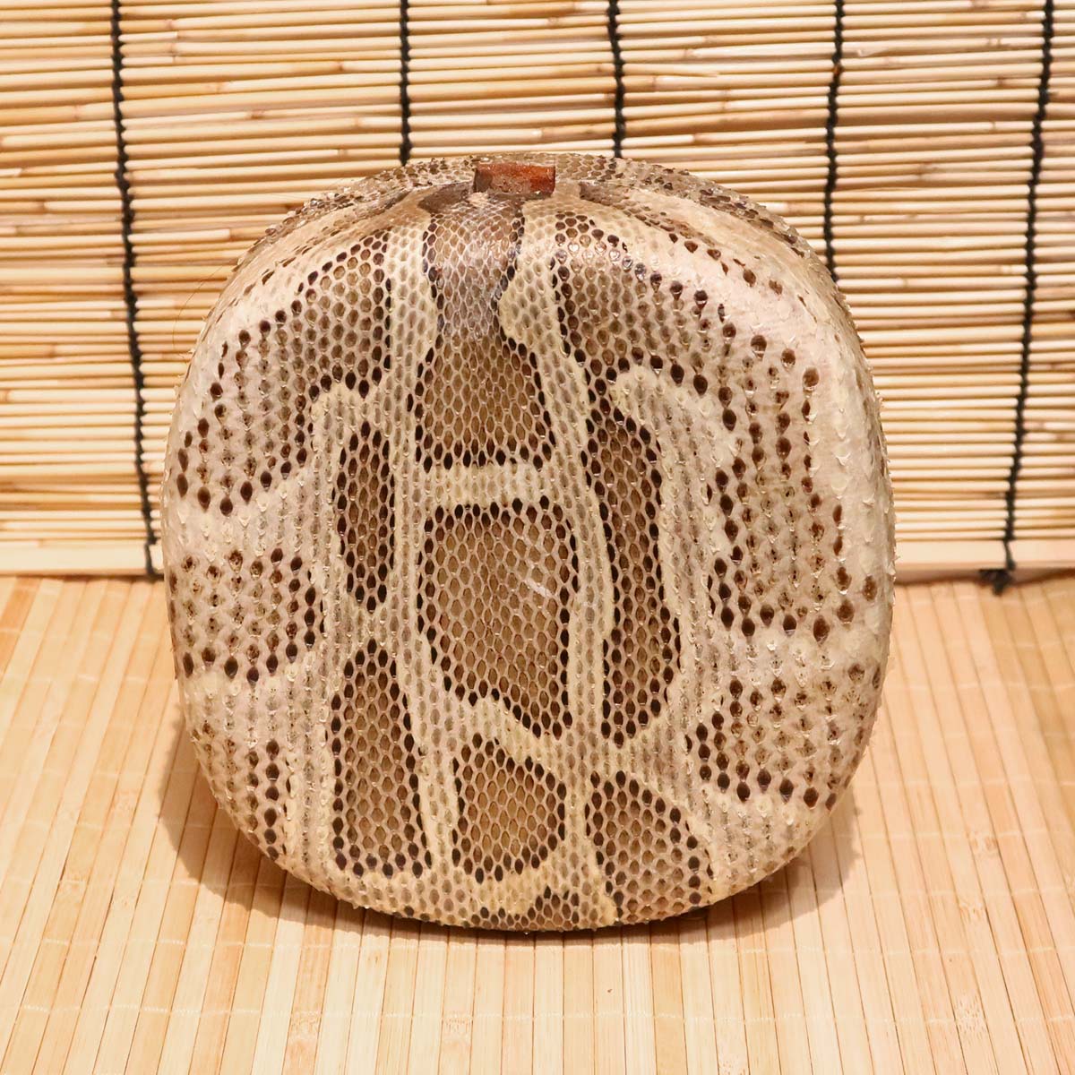 アウトレット蛇皮チーガ08（強化張り：8分張り）｜蛇皮強化張りの