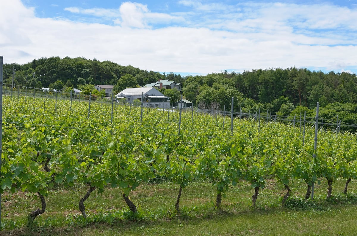 vol.7 ヴィラデストワイナリー<br>玉村 豊男さん、小西 超さん<br> <br