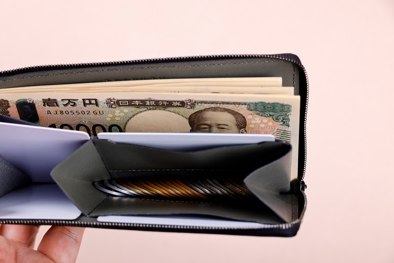 評価】ステータシーの解説とイルモードエア徹底レビュー | 長財布マニア