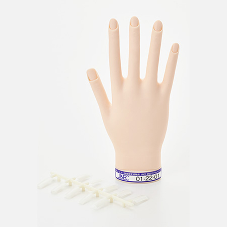 練習用ハンド／フット | Nail Labo Online Shop ネイルラボ オンライン