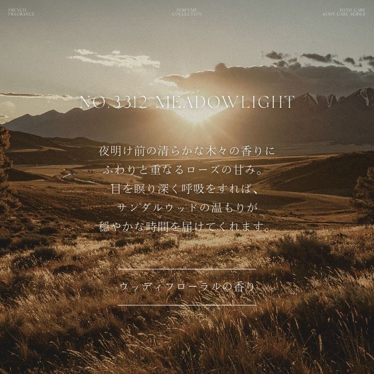 ARTiS di Voce ハイドレーティングボディローション 300g 3312