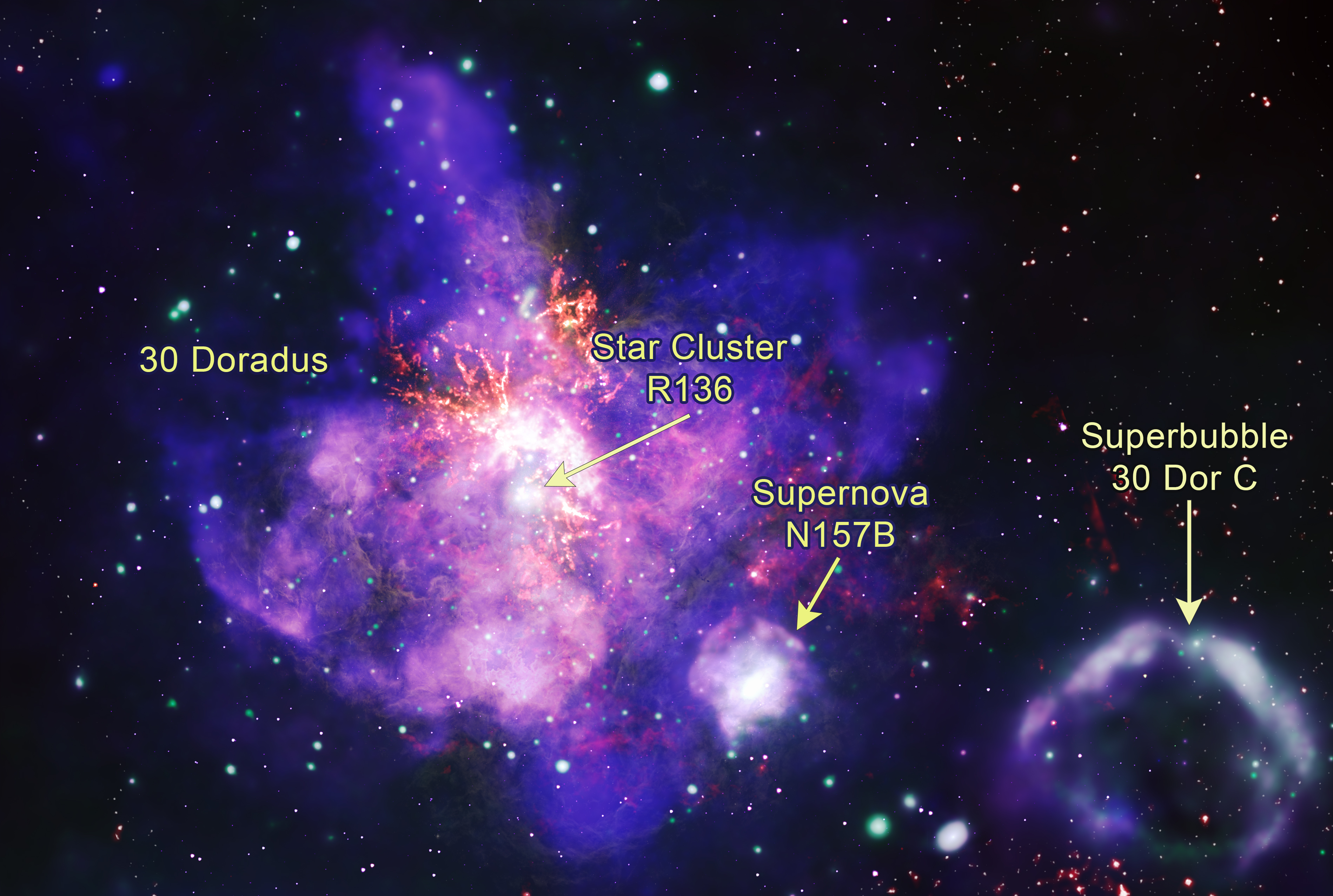 NASA Telescopes Deliver Stellar Bouquet in Time for Valentine's