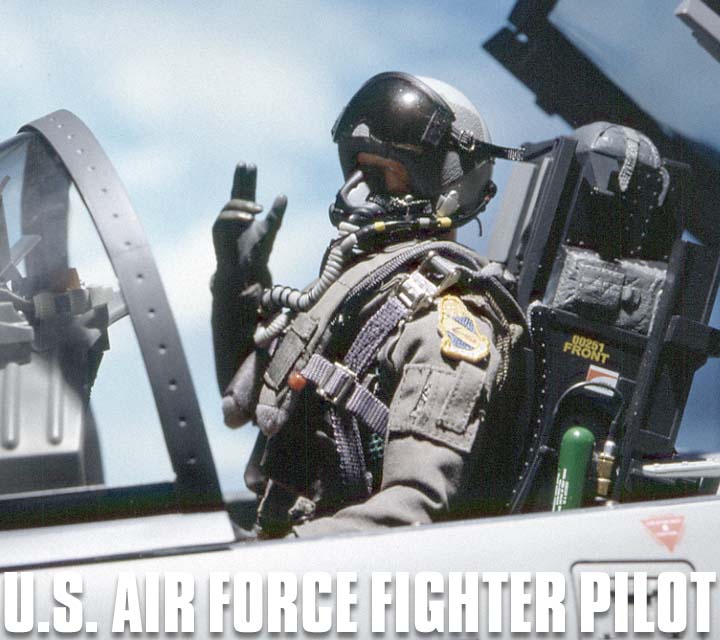 GALLERY/AIR FORCE PILOT
